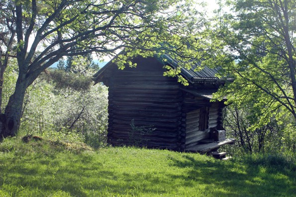 Ett timrad litet hus under blommande träd