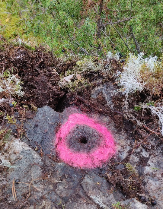En stompunkt i sten som är markerad med rödmålad ring
